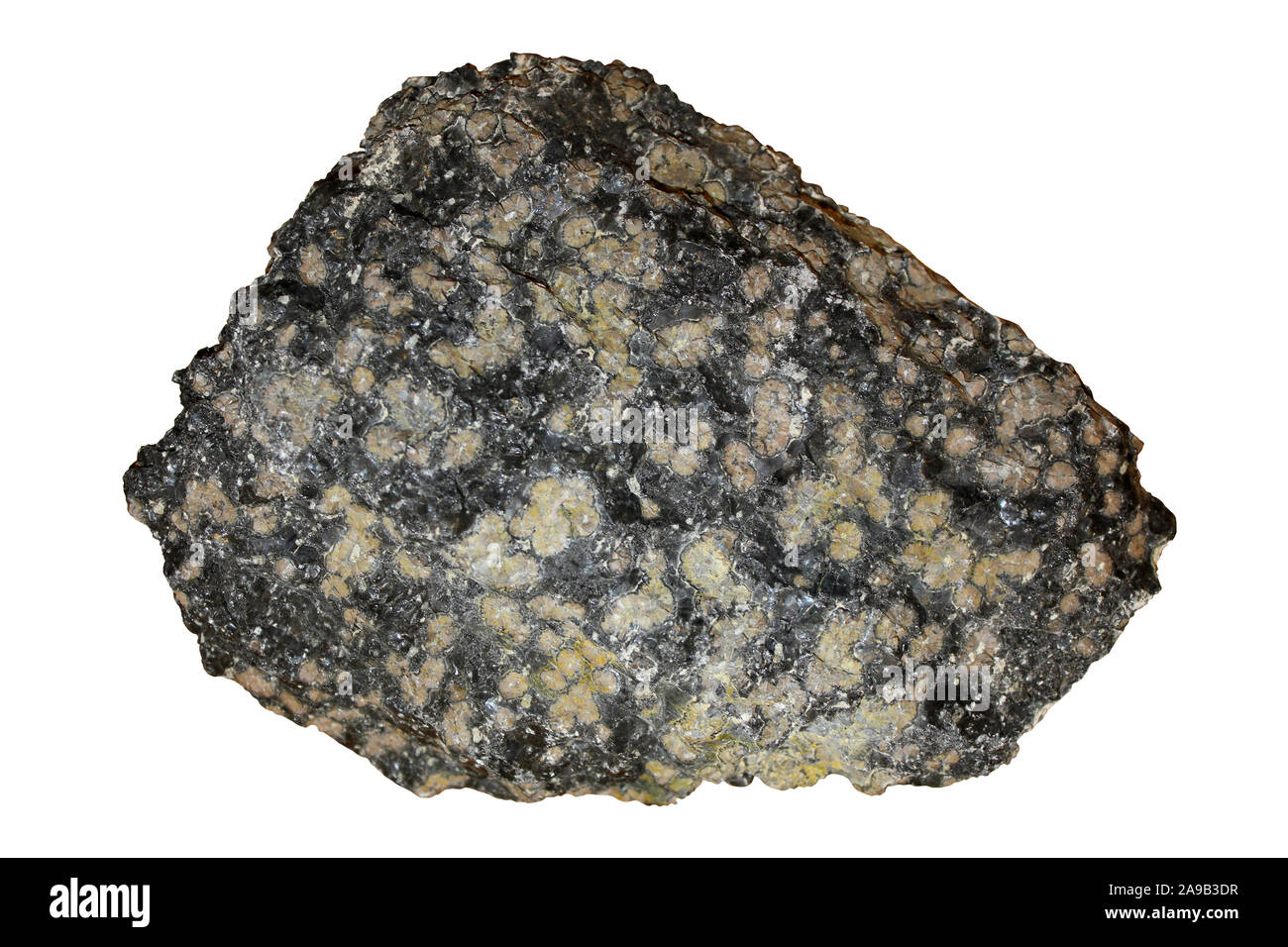 Vulkanisches Glas (Obsidian) mit Spherulitic Cristobalit (ein Quarz polymorph) Stockfoto