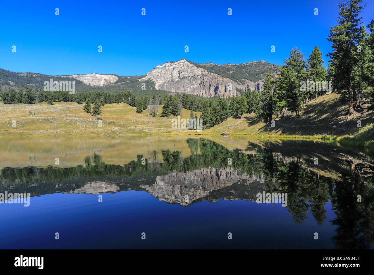 Trout Lake mountain Reflexion im Sommer Tag im Yellowstone National Park, Wyoming ist eine kurze backcountry Wanderziel Stockfoto