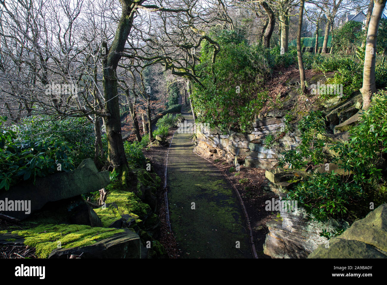 Einen abgelegenen Englischen Landschaftsparks, in Yorkshire im Frühjahr zeigt sowohl Laubabwerfende und immergrüne Pflanzen und Moos und attraktiven Weg und Mauerwerk Stockfoto