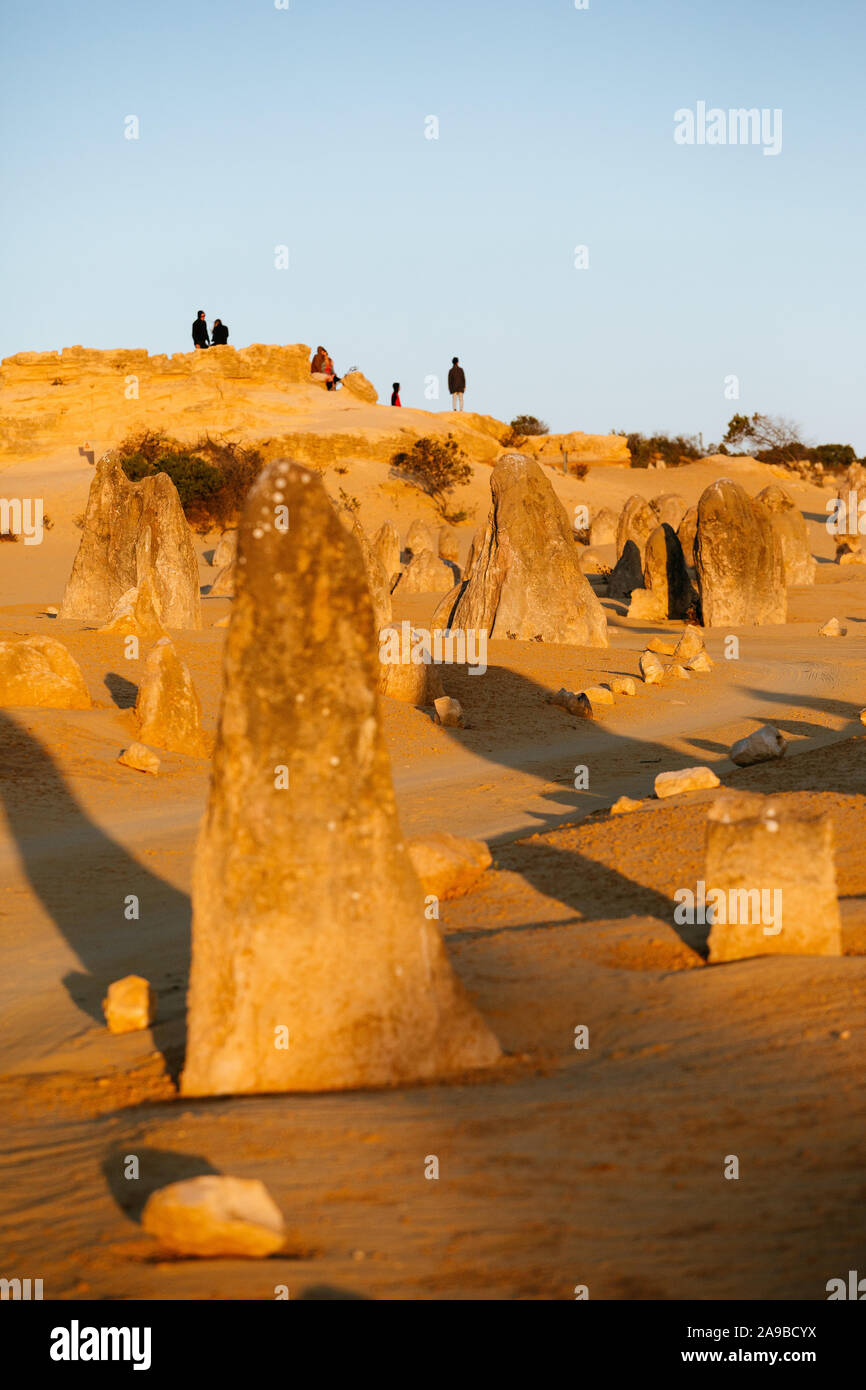 Der Pinnacle Wüste bei Sonnenuntergang, kalksteinformationen an Nambung Nationalpark, Cervantes, Western Australia Stockfoto