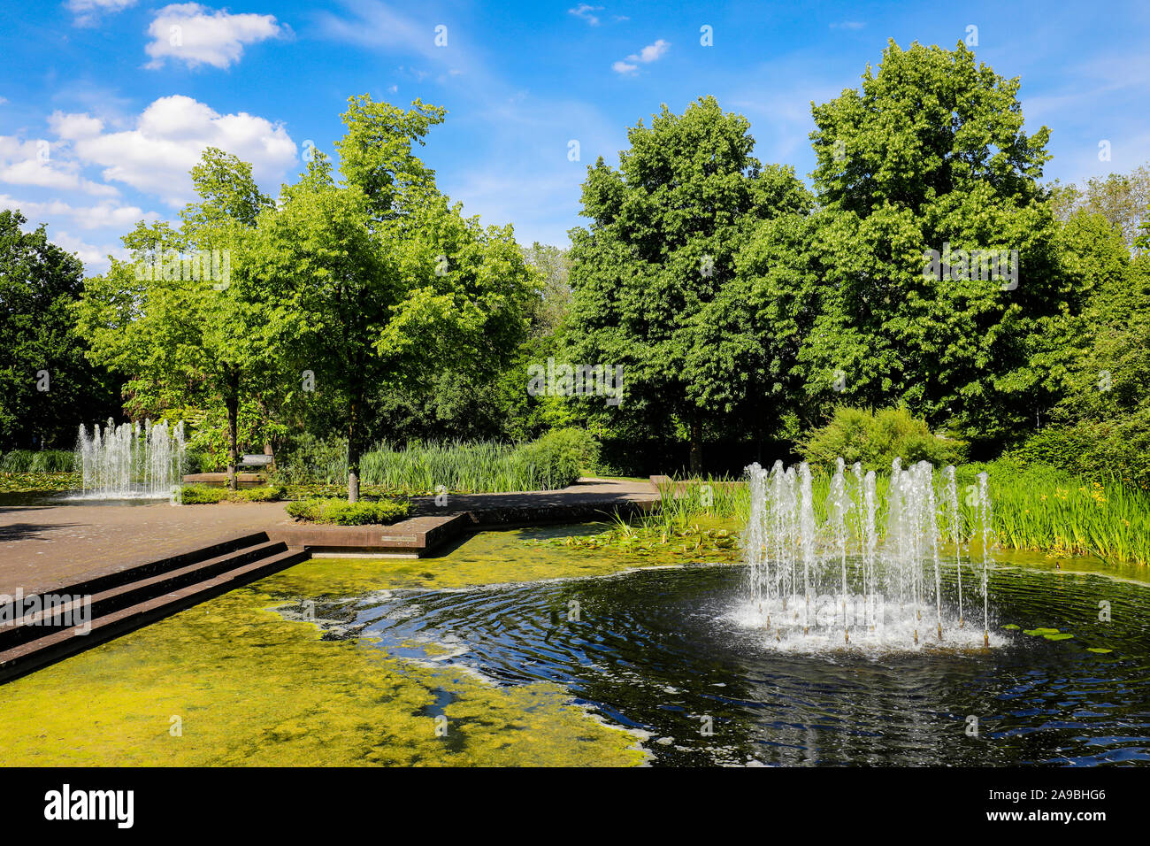 02.06.2019, Mülheim an der Ruhr, Nordrhein-Westfalen, Deutschland - See mit Springbrunnen im Park, im Garten des MŸGa Muelheim an der Ruhr. 00 X 190602 D 128 C Stockfoto