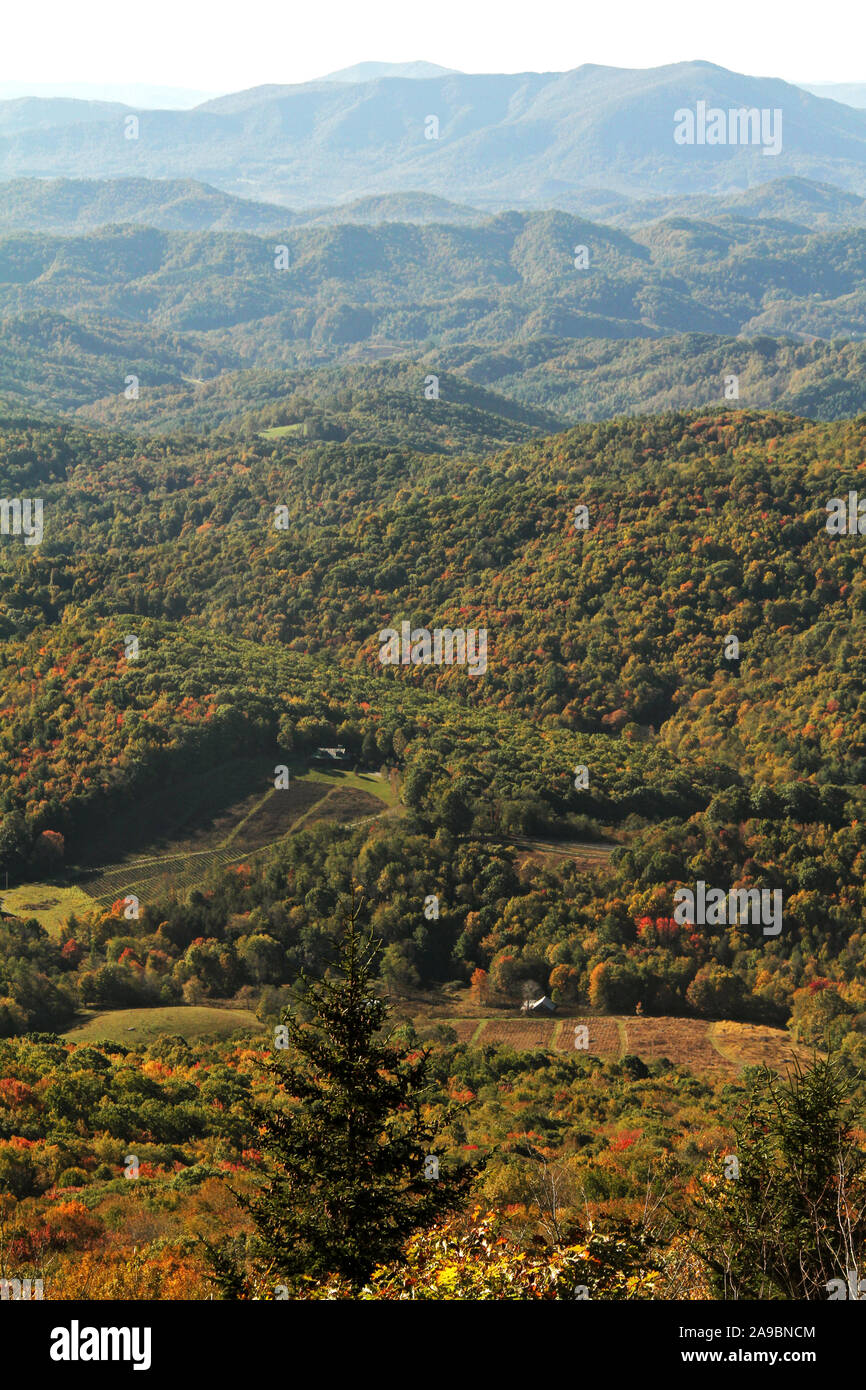 Bergige Landschaft am Grayson Hochland State Park, Virginia, USA. Stockfoto