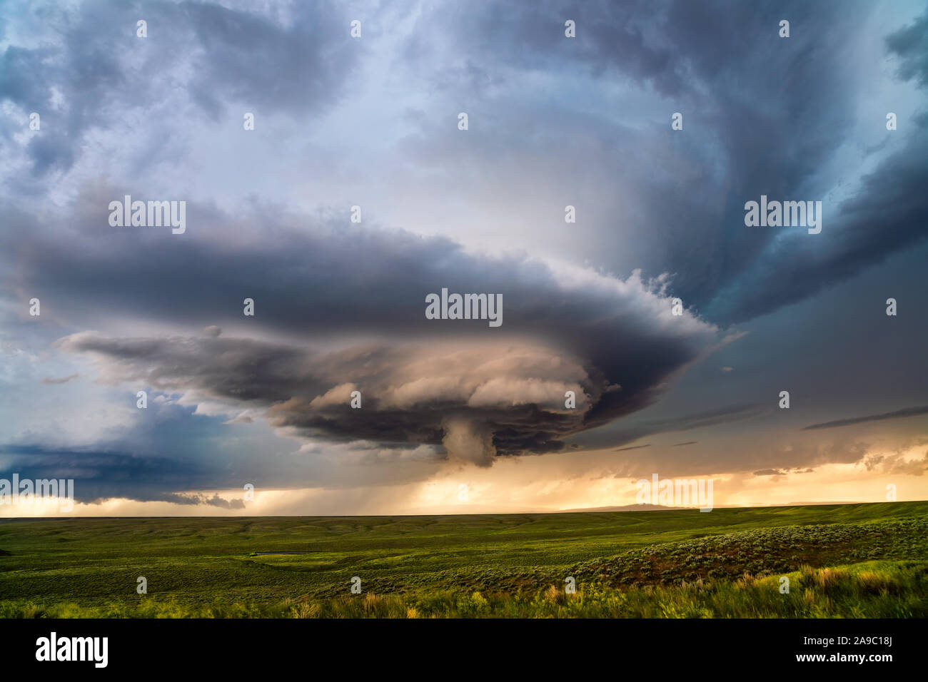 Supercell-Gewitter spinnt sich während eines Unwetterausbruchs in der Nähe von Roundup, Montana, über ein Feld Stockfoto