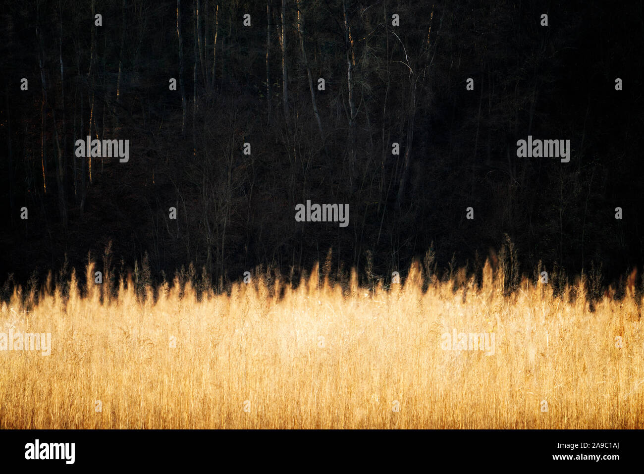 Landschaft, Oberweser; Deutschland; Deutsch; Europa Stockfoto