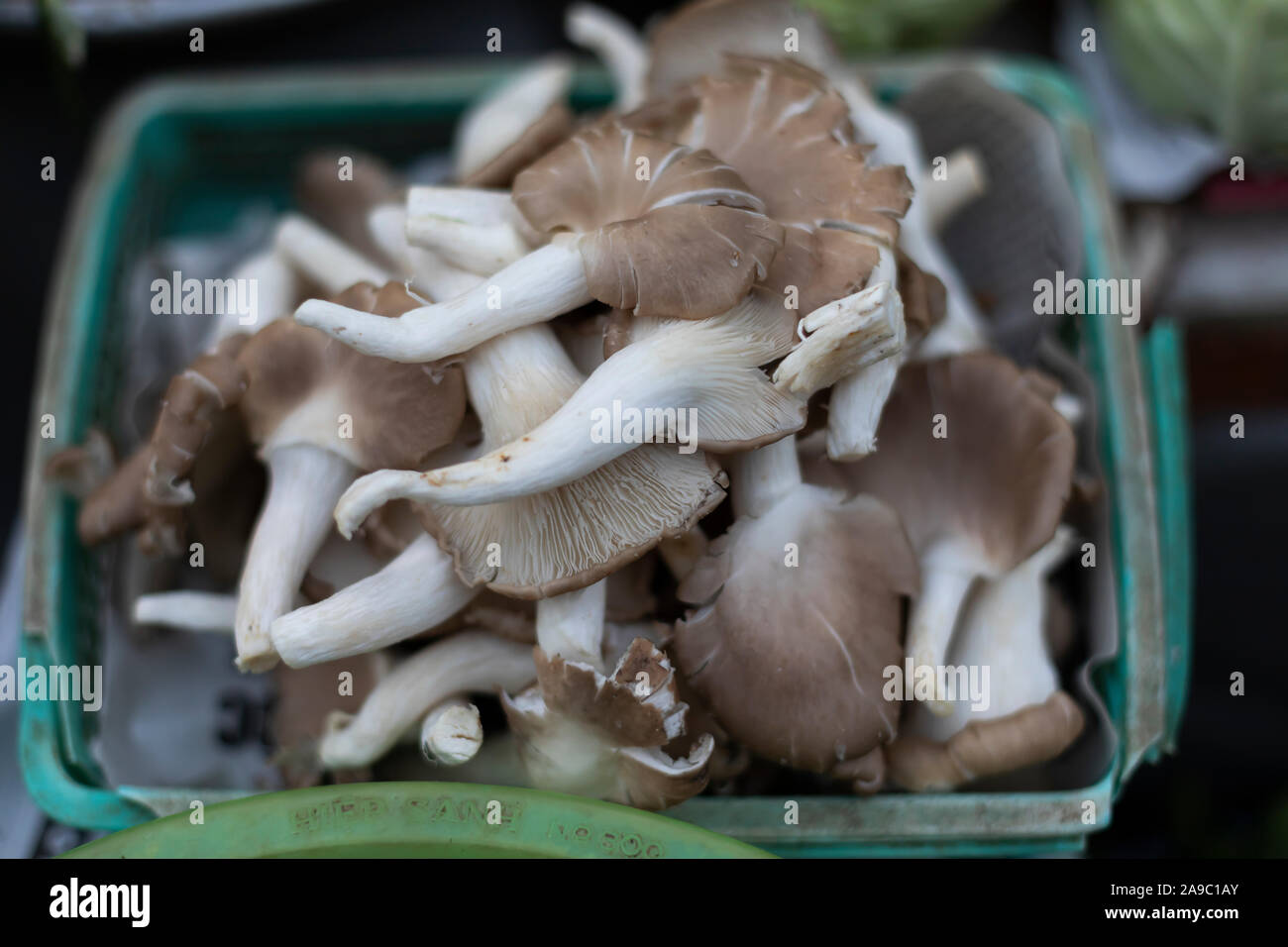 Frische Pilze zu verkaufen in vietnamesische Küche Markt Stockfoto