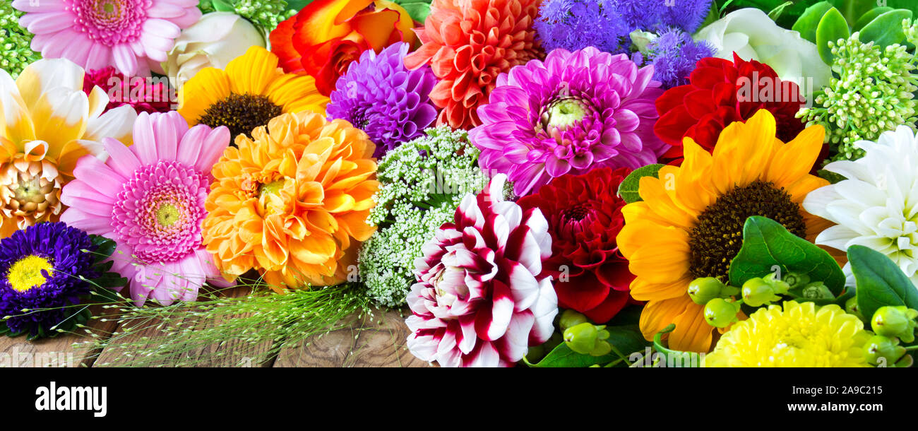 Bunte Auswahl der Blumen gegen Holz- Hintergrund Stockfoto