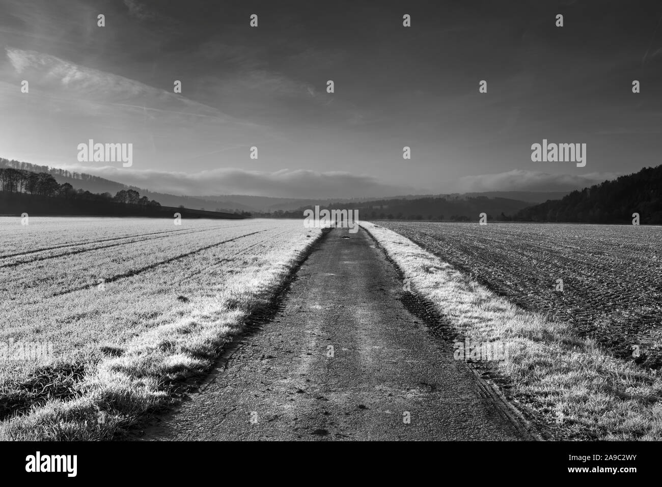 Pfad, geradeaus, Oberweser; Deutschland; Deutsch; Europa Stockfoto