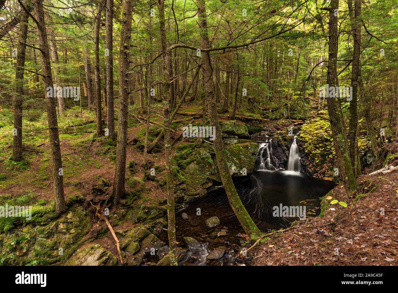 Osten auf Jimmy Jimmy Creek Falls Creek, Adirondack Mountains, Hamilton County, New York Stockfoto