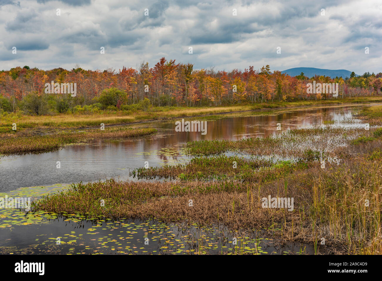 Herbst Farben zieren See angenehm, Adirondack Mountains, Hamilton County, New York Stockfoto