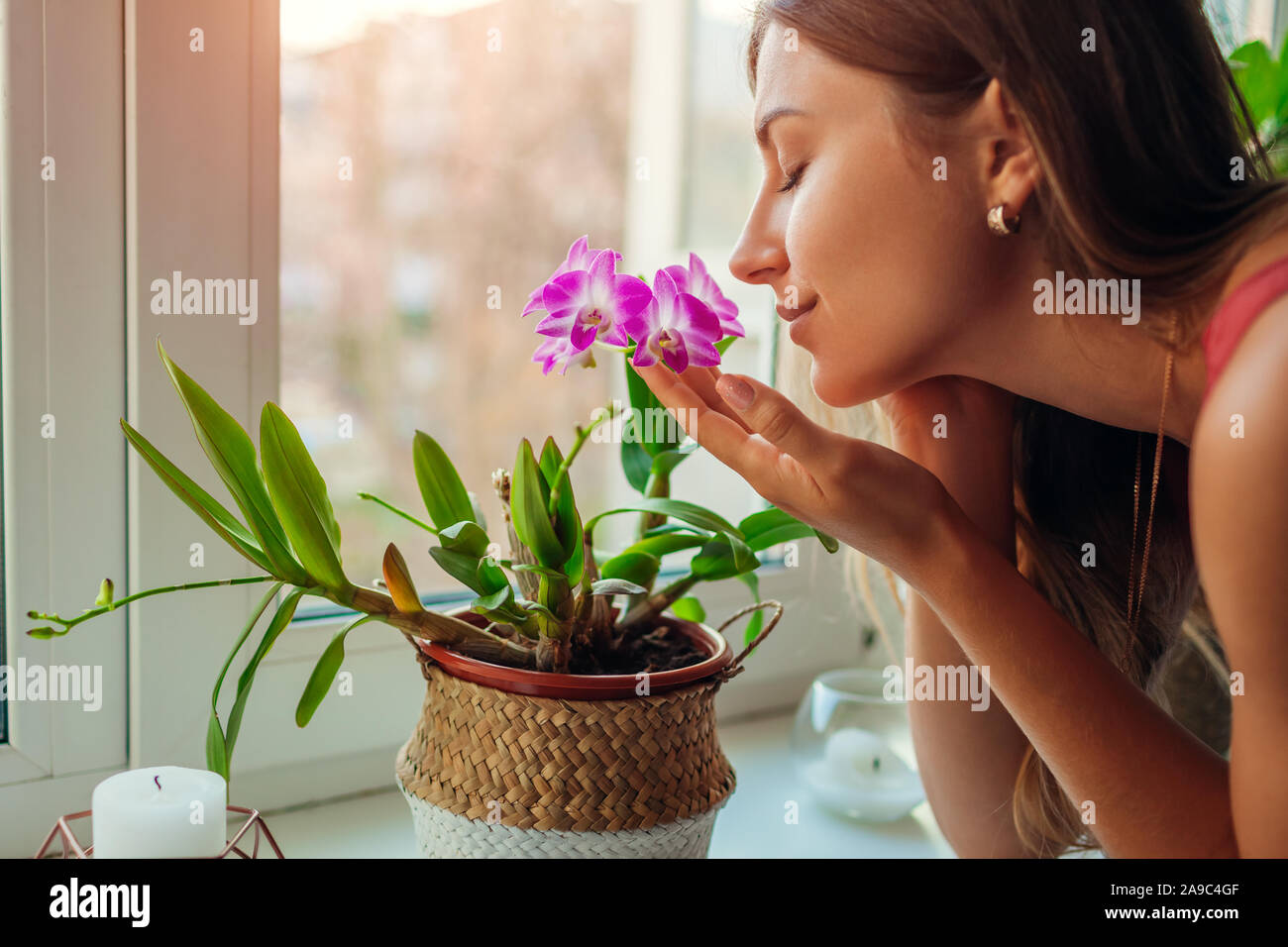Frau riechen dendrobium Orchideen auf der Fensterbank. Hausfrau kümmert