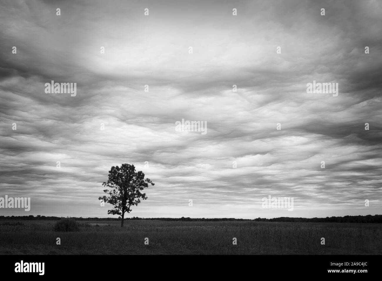 Dunkle Wolken über der Prärie Stockfoto