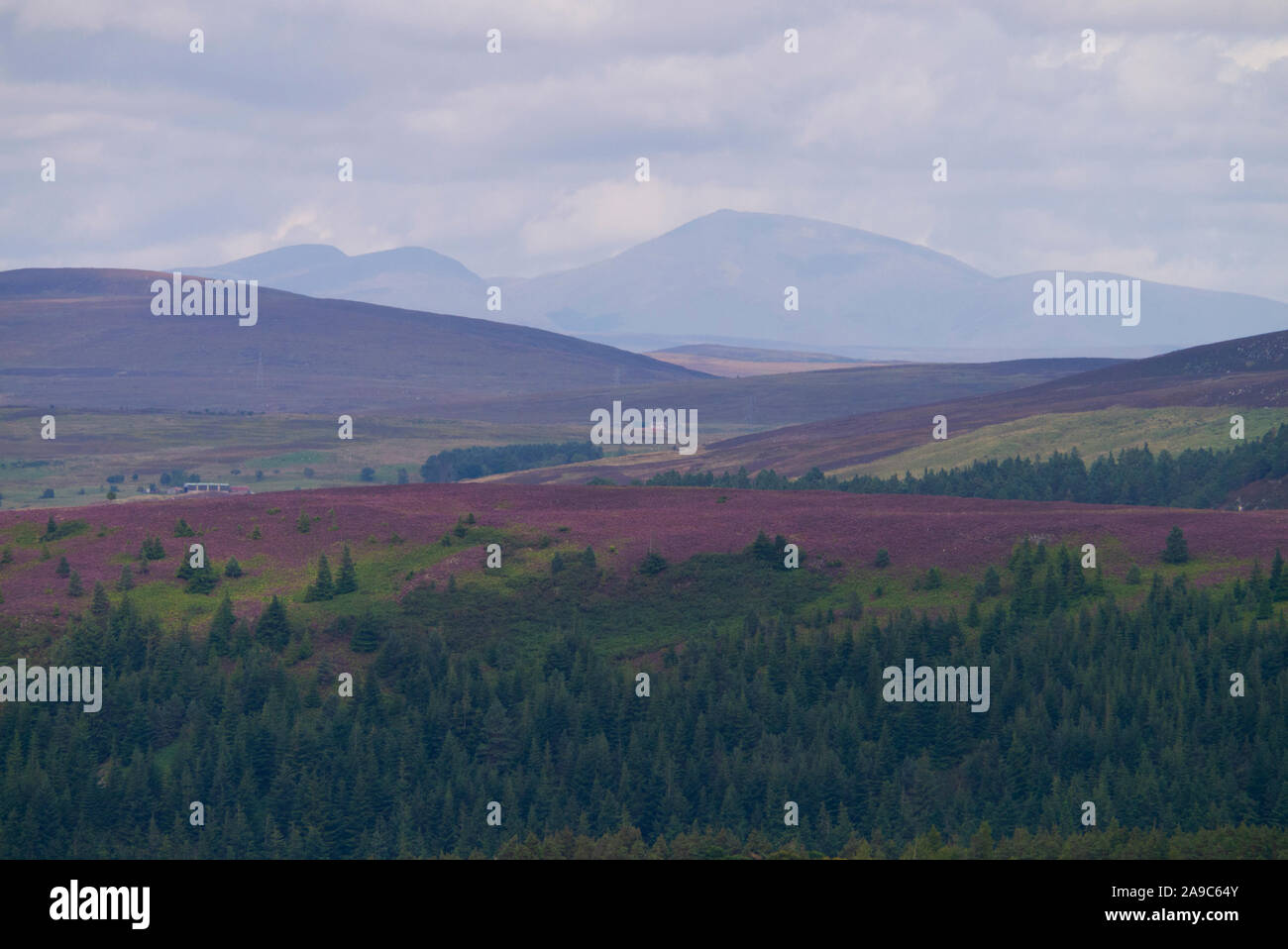 Landschaft, die die Südwand von Ben Klibreck in den schottischen Highlands von Sutherland Scotland UK zeigt Stockfoto