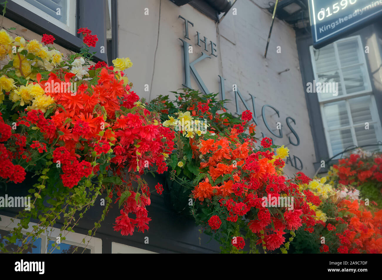 Sommer Blumenampeln in Rot und Gelb mit Eisenkraut und Begonia das Aussehen einer öffentlichen Haus Fassade zu verbessern Stockfoto