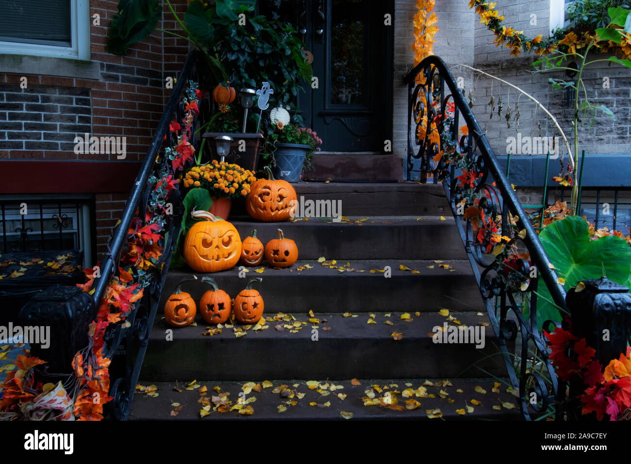 Bunte Halloween Kürbisse auf dem Queens New York stoop im Herbst Stockfoto