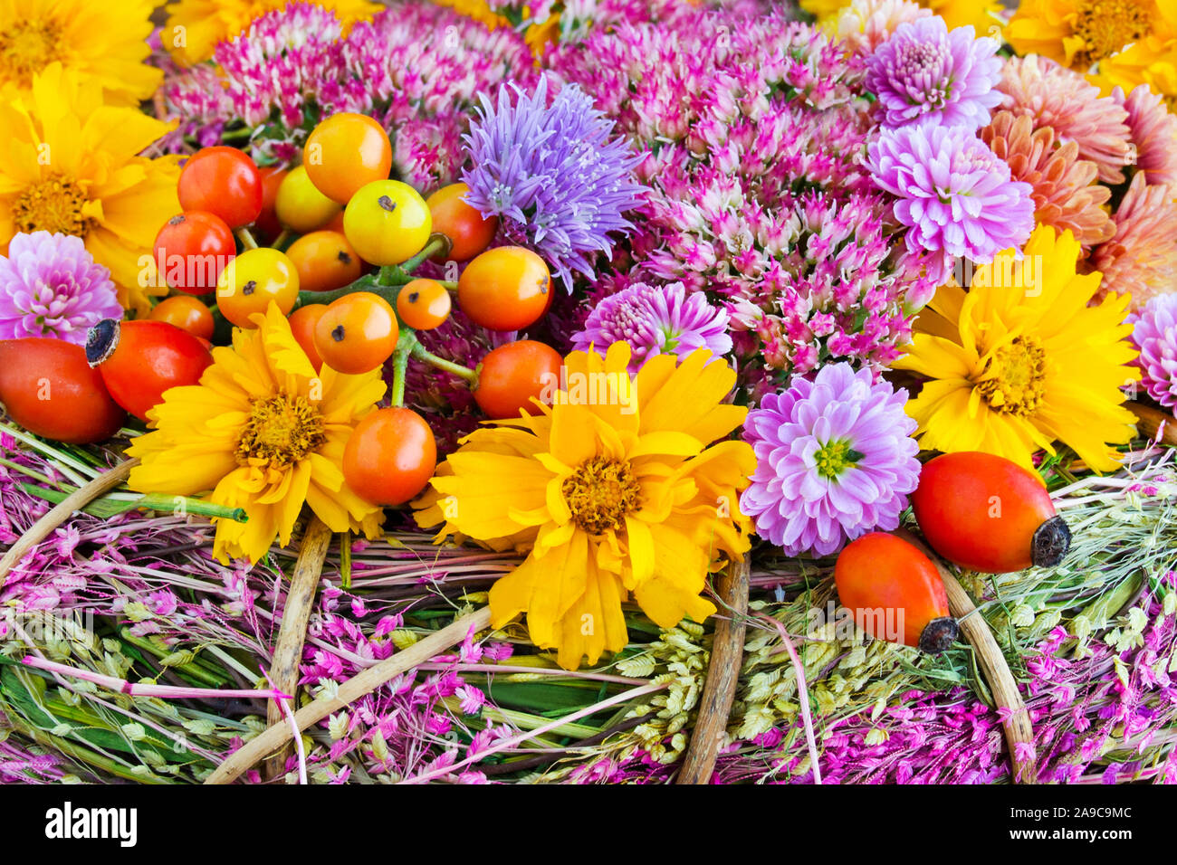 Saisonale Herbst Blumen Dekoration mit Hagebutten Stockfoto