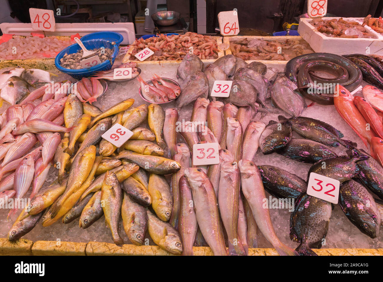 Frischen Fang von Fischen für Verkauf an den Marktstand Stockfoto