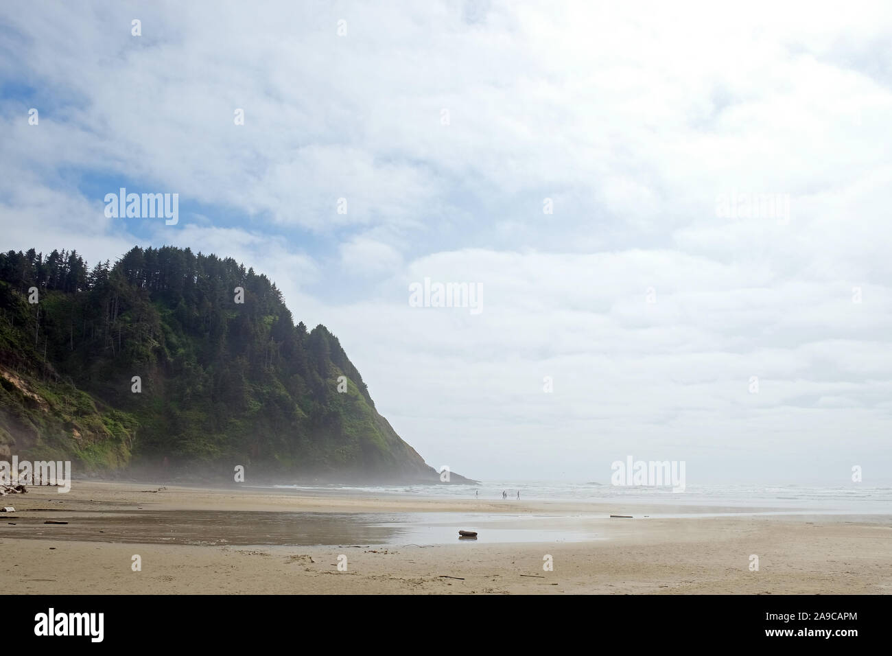 Strand Landschaft, Baum fallenden Felsen mit Blick auf den Ozean und bewölkter Himmel Stockfoto