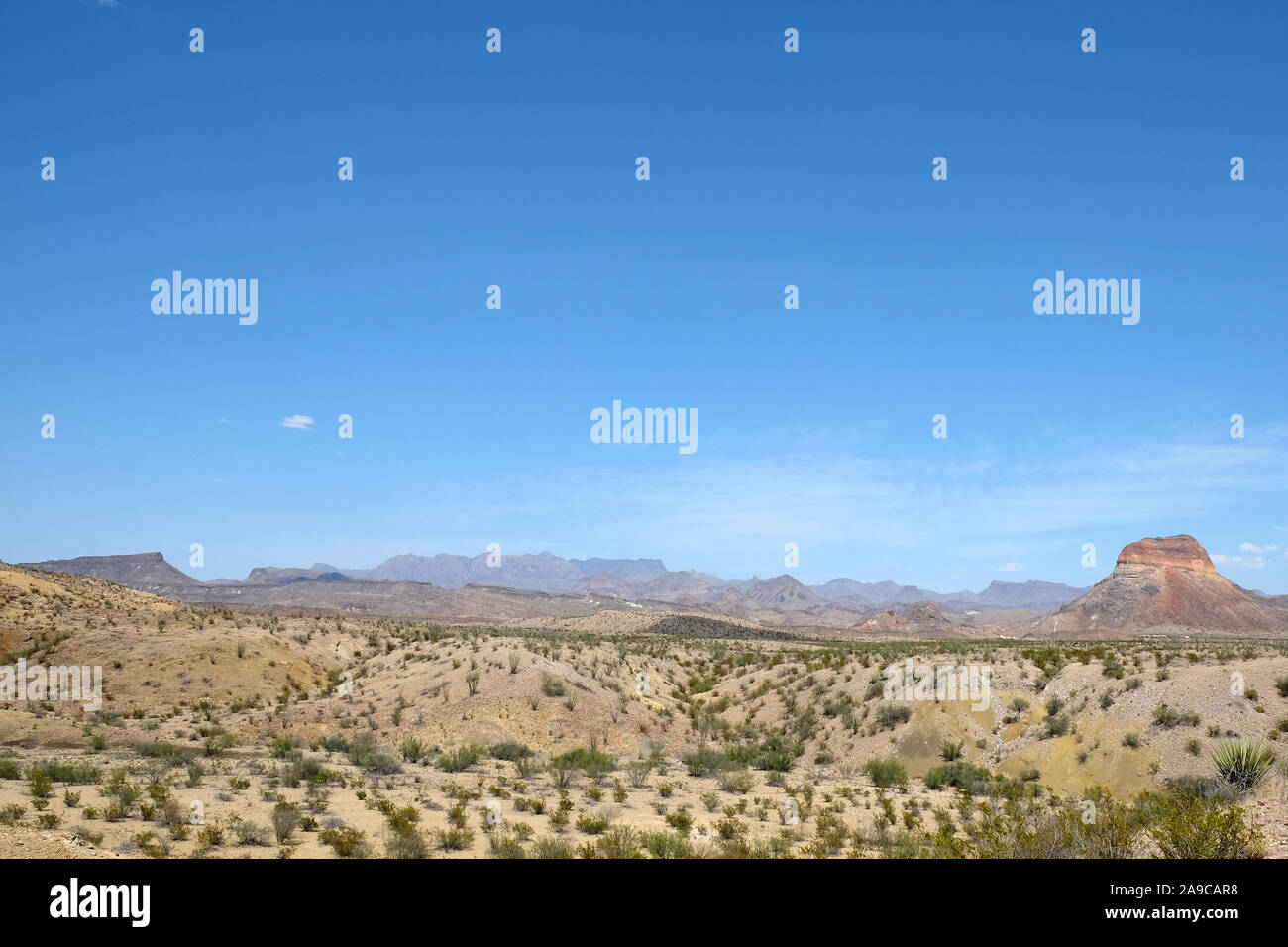 Landschaft der Wüste mit Kakteen und ein blauer Himmel in New Mexico Stockfoto