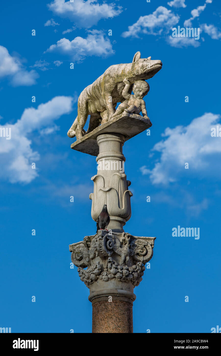 Spalte mit dem Kapitol Wolf und mit Romulus und Remus Skulptur vor der Kathedrale von Siena, Toskana, Italien Stockfoto