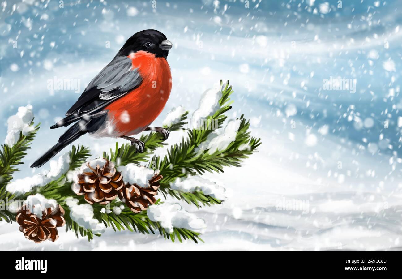 Vogel Dompfaff auf einem Zweig der auf einem Winter Hintergrund Fichte, Art Illustration mit Aquarellfarben gemalt. Stockfoto