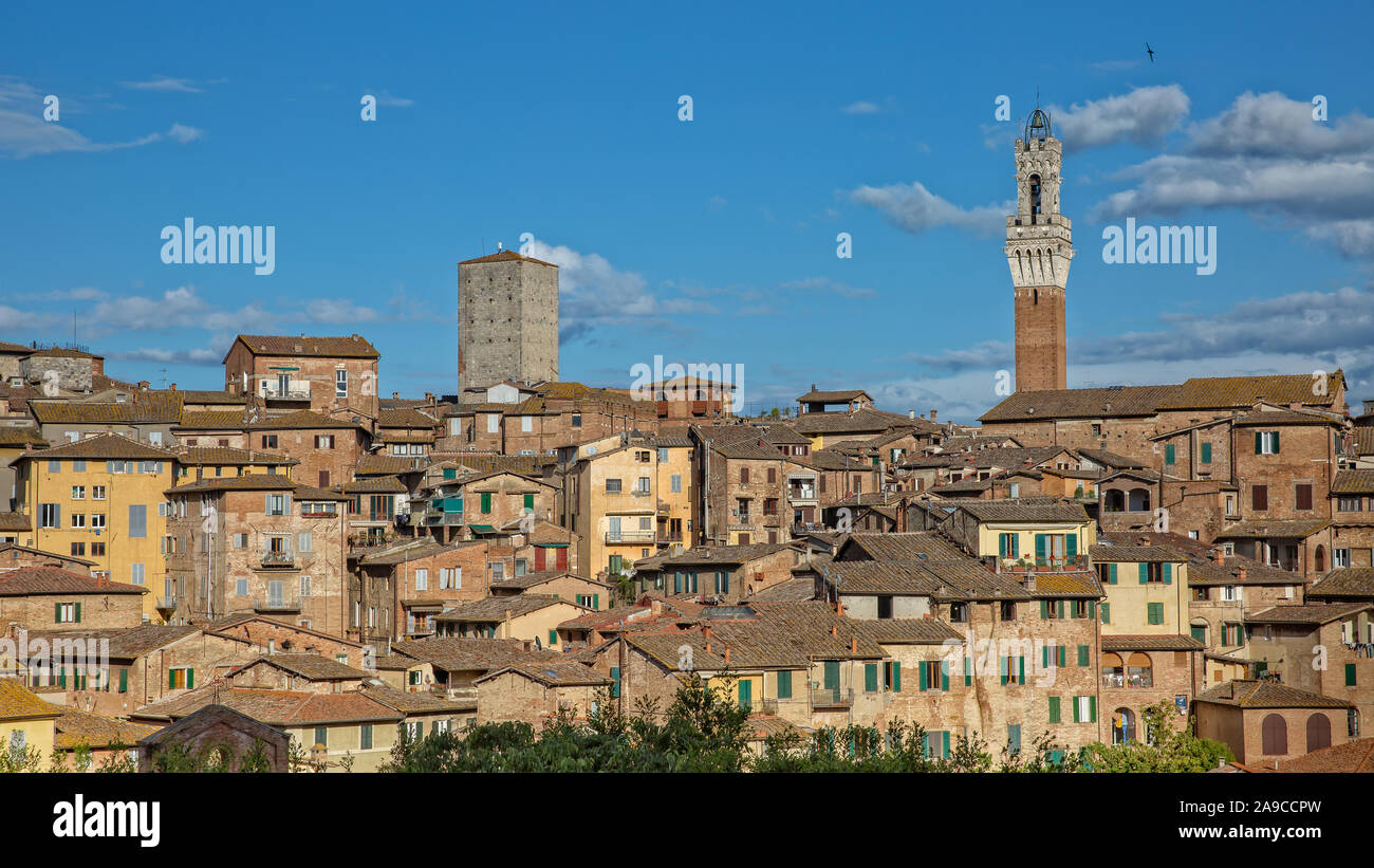 Alte Häuser im historischen Zentrum von Siena. Blick über die Dächer der Altstadt und die Torre del Mangia, Turm des Palazzo Pubblico in Siena, Toskana, Italien Stockfoto