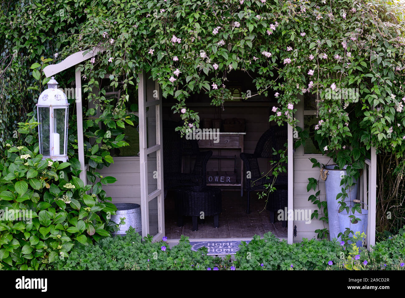 Holz-, Garten, Schuppen, Scheunen, Gärten, Gartenarbeit, Hütte, attraktiv, Garten, Gartenhäuschen, mit Clematis, Kletterer, Kriechgang, abgedeckt, RM Floral Stockfoto