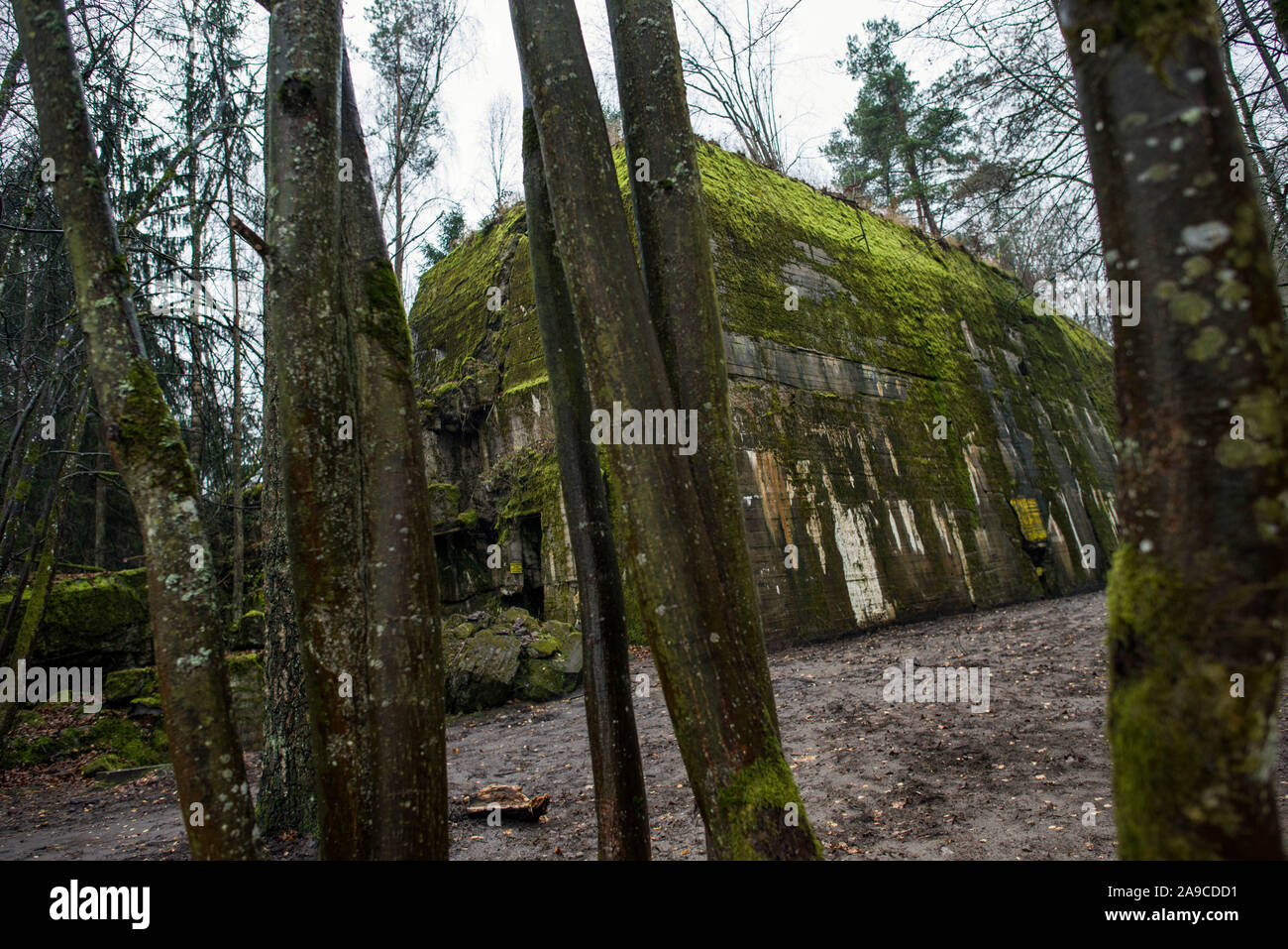 Adolf Hitlers Hauptquartier Bunker unter die Bäume an der Wolfsschanze komplex in der srokowo Wald gesehen. Nach einem sensationellen Artikel durch die BBC veröffentlicht, das die Verwaltung von der Wolfsschanze plante, ein Vergnügungspark im Hauptsitz von Adolf Hitler, die in eine 'NS-Themenpark 'ändern könnte zu bauen, wurden diese Informationen umgehend dementiert. Behörden behaupteten, es ist neben den Erneuerungen, die Sehen das heruntergekommene Gebäude wiederhergestellt sowie die Hinzufügung eines Restaurants und Eingang Gebäude, auch neue Wanderwege sind geplant zu errichten. Der Wolfsschanze (Deutsch: wolfsschanz Stockfoto