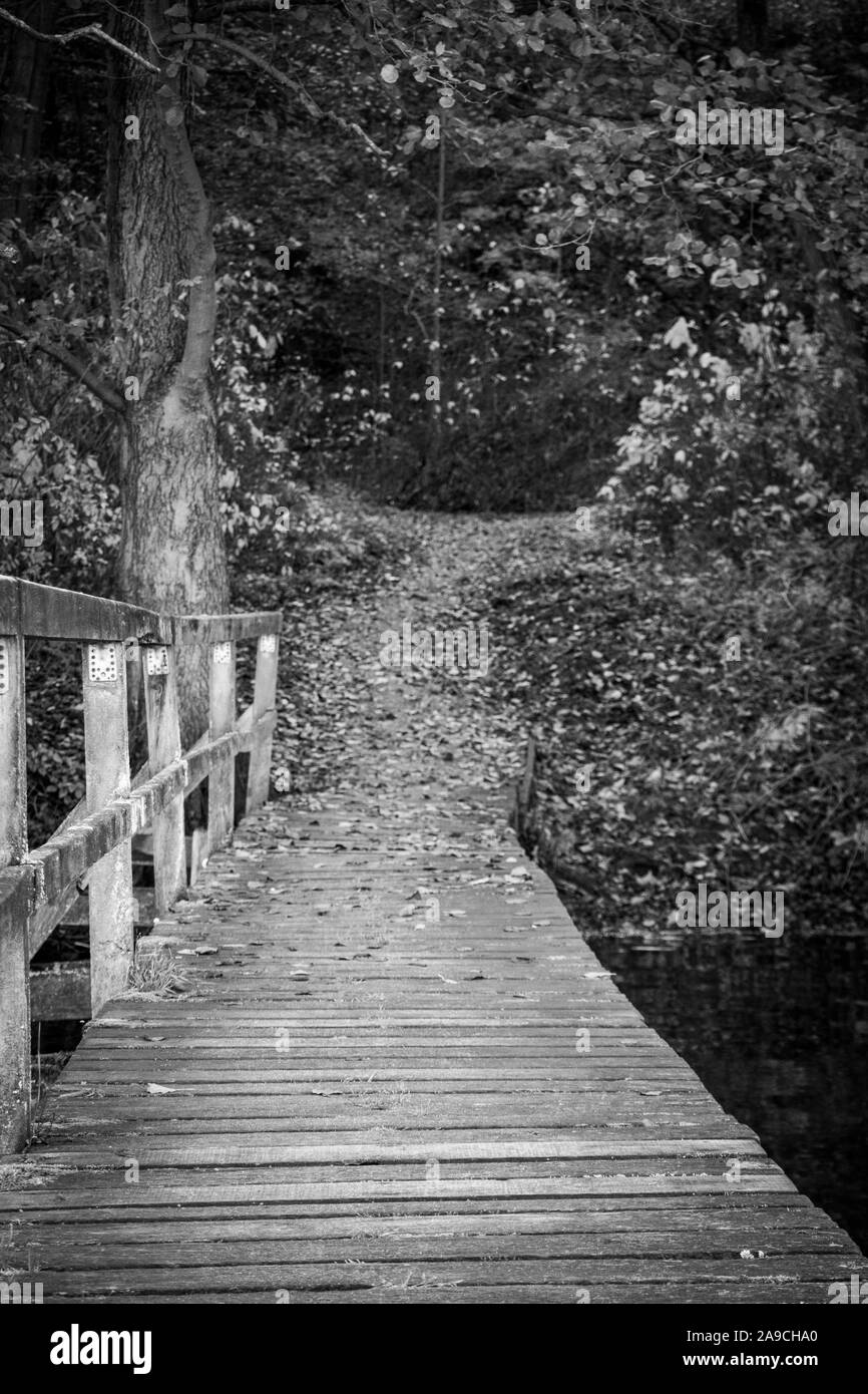 Ein holzsteg am See Ratzeburg im Herbst in den frühen Morgenstunden Stockfoto