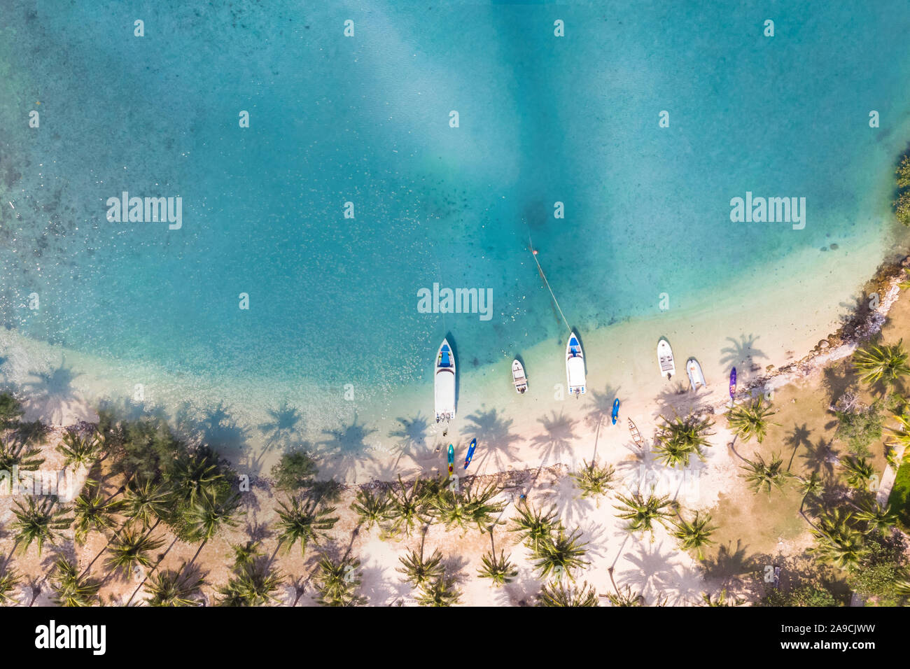 Tropical Beach Luftaufnahmen mit Kokosnuss Palmen entlang der Küste und Meer Wasser blau transparent mit Coral Reef, ein Paradies Urlaub Ferien d Stockfoto