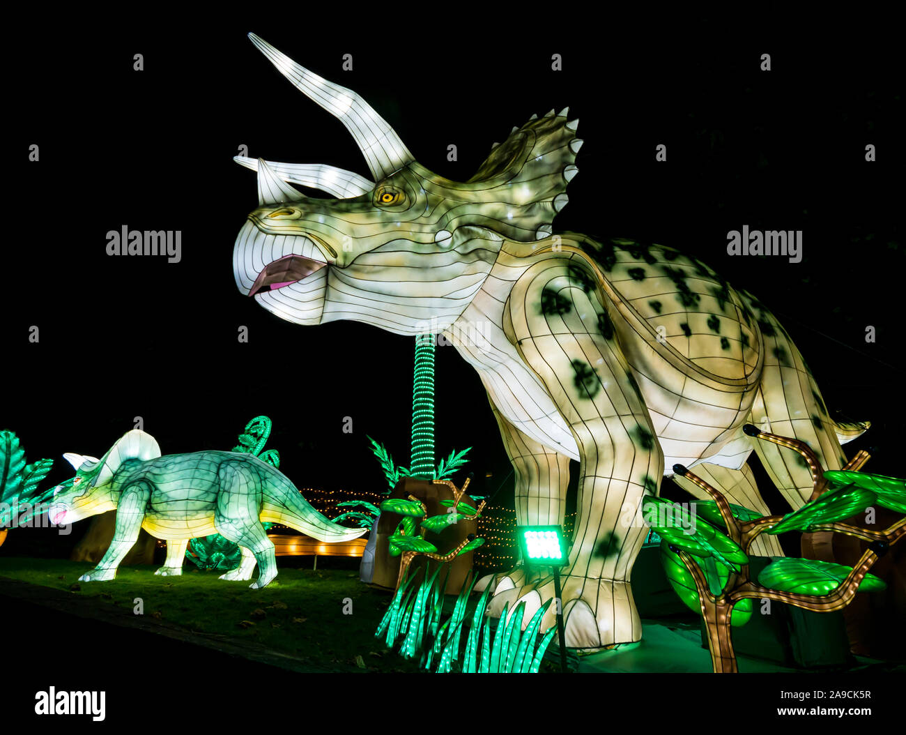 Edinburgh Zoo, Schottland, Großbritannien, 14. November 2019. Giant Lanterns im Edinburgh Zoo. Das Thema der diesjährigen spektakulären Laterne ist ‘Lost Worlds’ mit Dinosauriern, die über einen ausgedehnten Weg durch den Zoo wandern. Es bietet seltsame und wunderbare Kreaturen über 570 Millionen Jahre Tierwelt. Riesige Dinosaurier Stockfoto