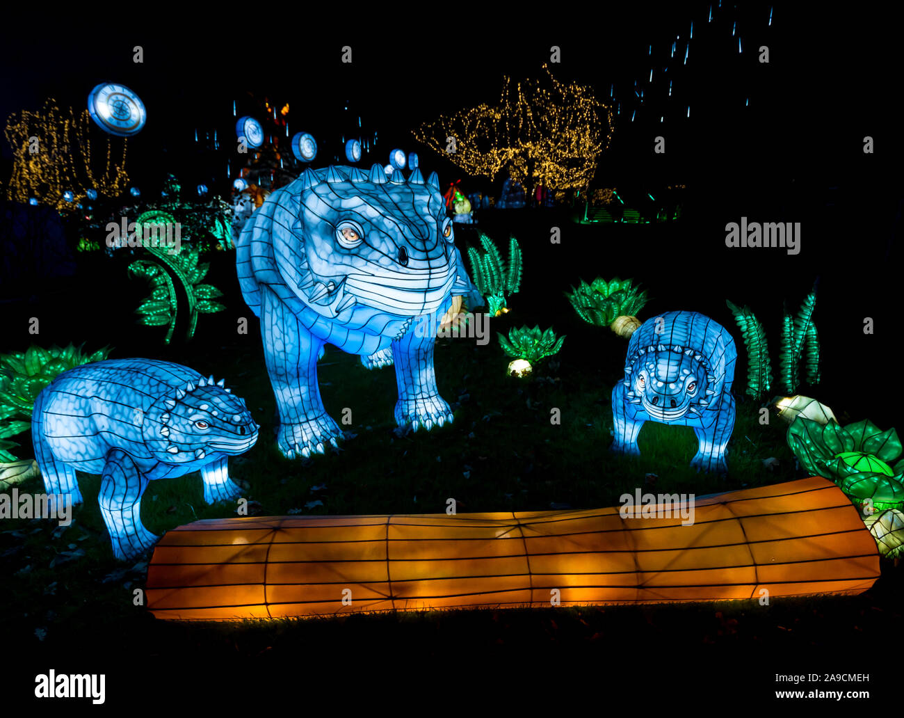 Edinburgh Zoo, Schottland, Großbritannien, 14. November 2019. Giant Lanterns im Edinburgh Zoo. Das Thema der diesjährigen spektakulären Laterne ist ‘Lost Worlds’ mit Dinosauriern, die über einen ausgedehnten Weg durch den Zoo wandern. Es bietet seltsame und wunderbare Kreaturen über 570 Millionen Jahre Tierwelt Stockfoto