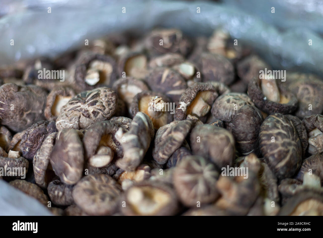 Getrocknete Shitake Pilze in einer Tasche. Dies ist eine typische Szene für die asiatischen Märkte. Verschiedene Arten von Pilzen werden angezeigt und verkauft. Stockfoto