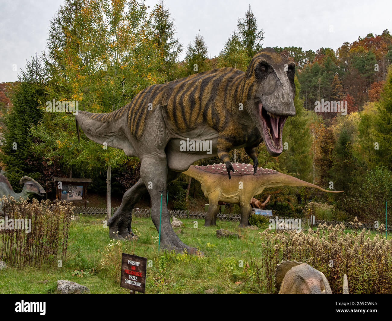 BALTOW, Polen - Oktober 19..2019 Polen. Jurassic Park in Bałtów. Rekonstruktion eines Tyrannosaurus aus einer Ausstellung in einem Outdoor Parkplatz. Stockfoto