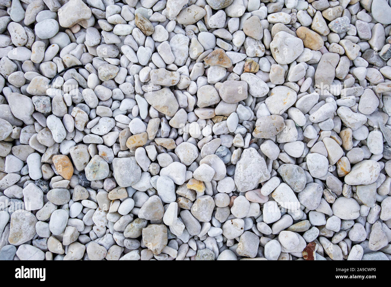 Ein Bild von einer weißen Kieselsteinen Hintergrund Stockfoto