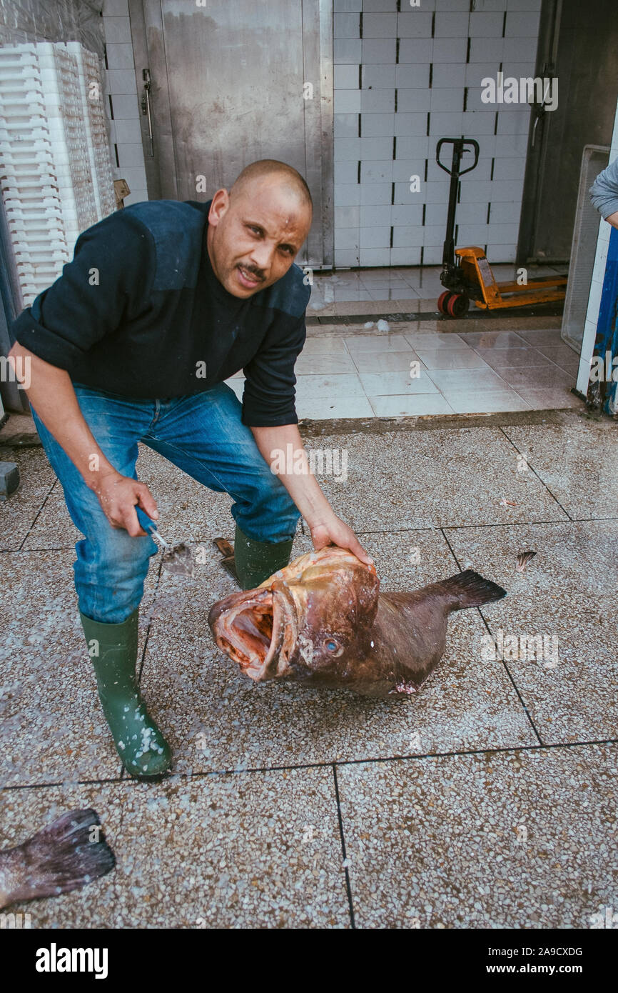 Fischmarkt in Tanger, Marokko Stockfoto