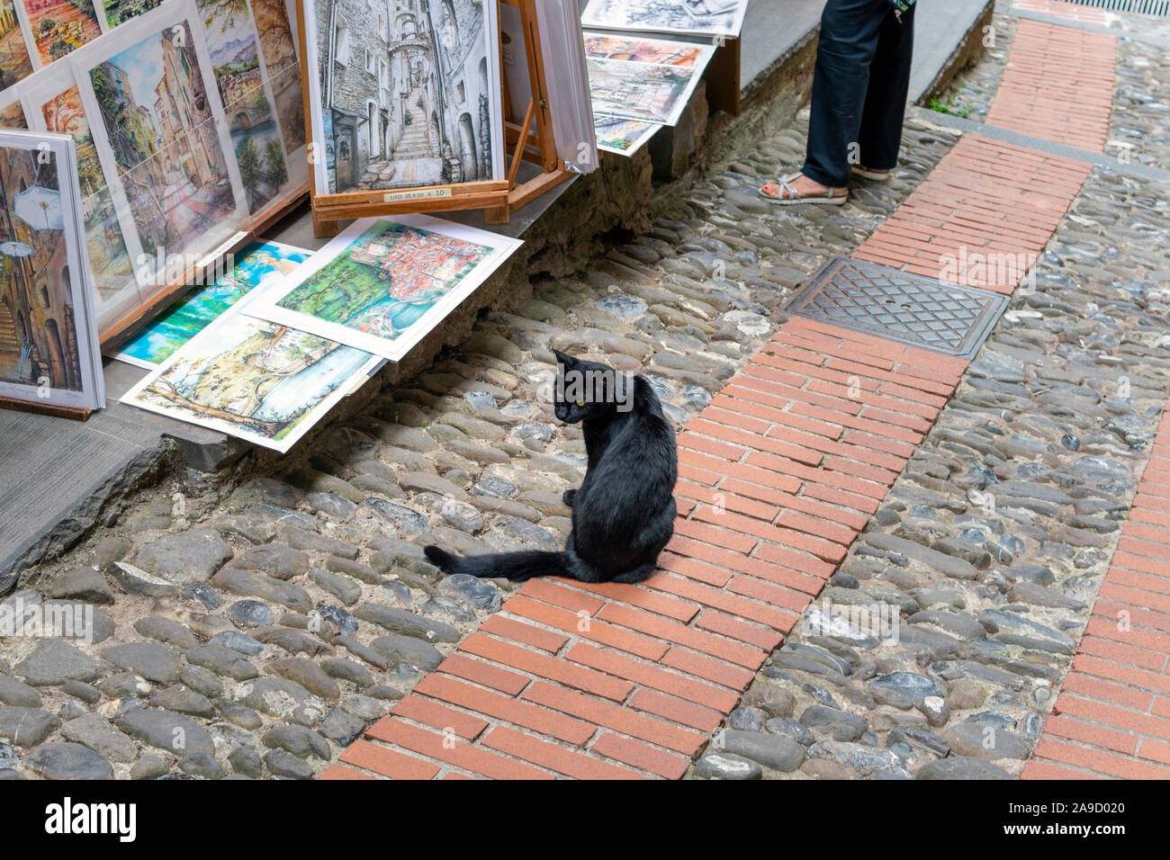 Ein schlankes Kurzhaar schwarze Katze sitzt auf einer gepflasterten Straße neben einem Künstler Shop in der mittelalterlichen Dolceacqua, Italien. Stockfoto