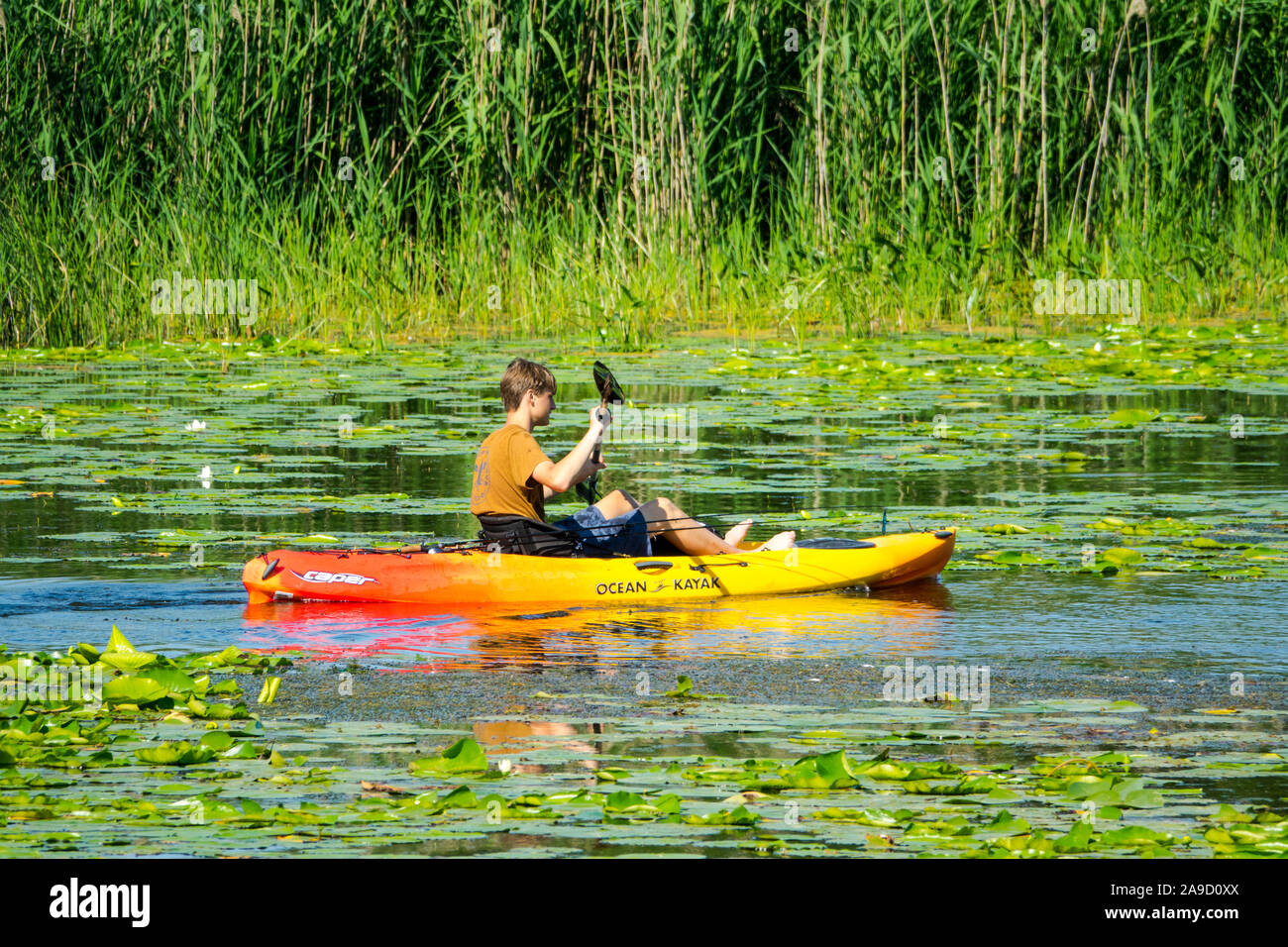 Freizeit Kajak und Kanu Bootsfahrer auf der Au Sable River in der Pinery Provincial Park in der Nähe von Goderich Ontario Kanada Stockfoto