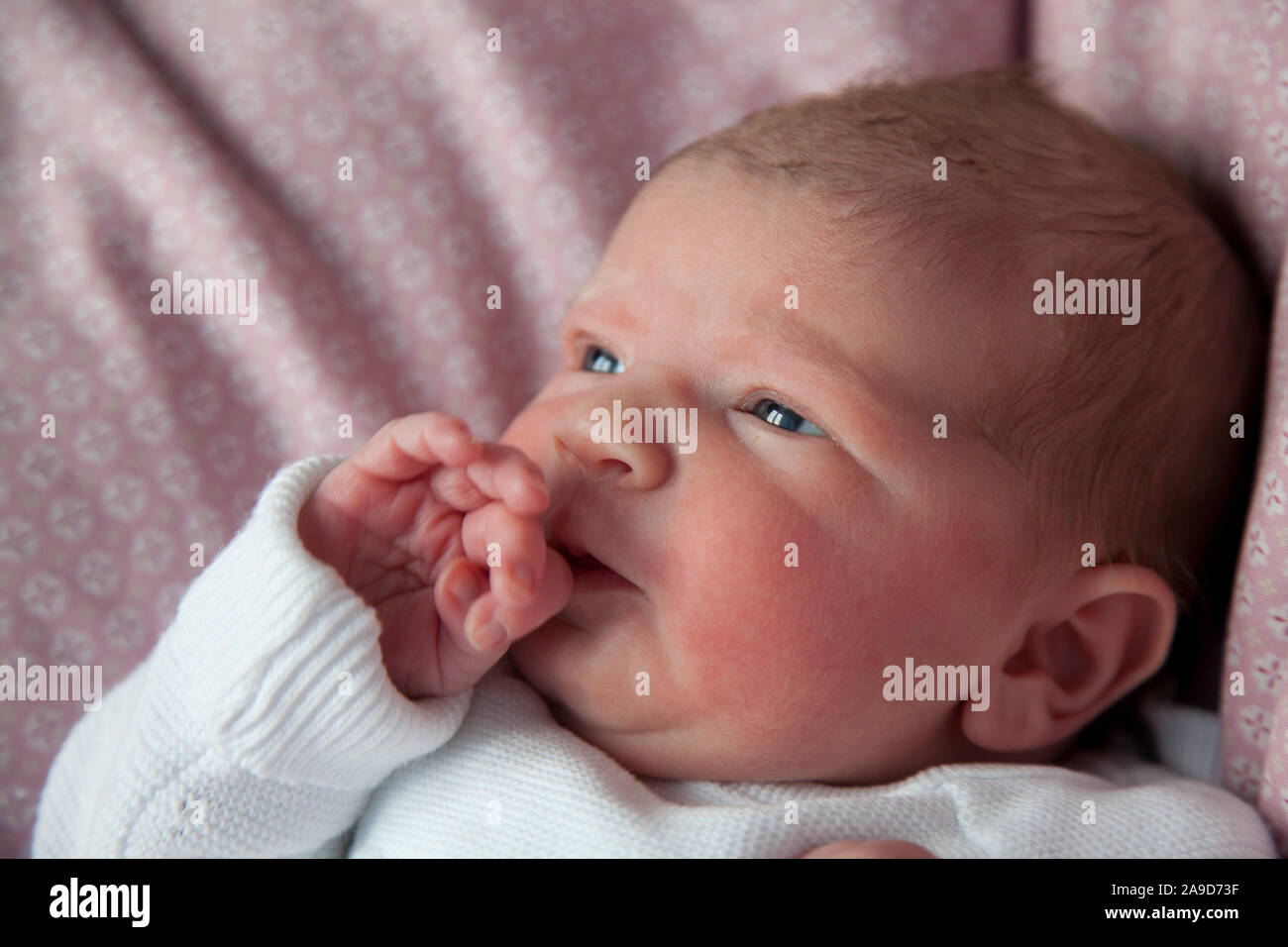 Neugeborenes, Baby, Mädchen auf rosa Kissen, Kopf hoch, die Hand auf den Mund, die Augen offen Stockfoto