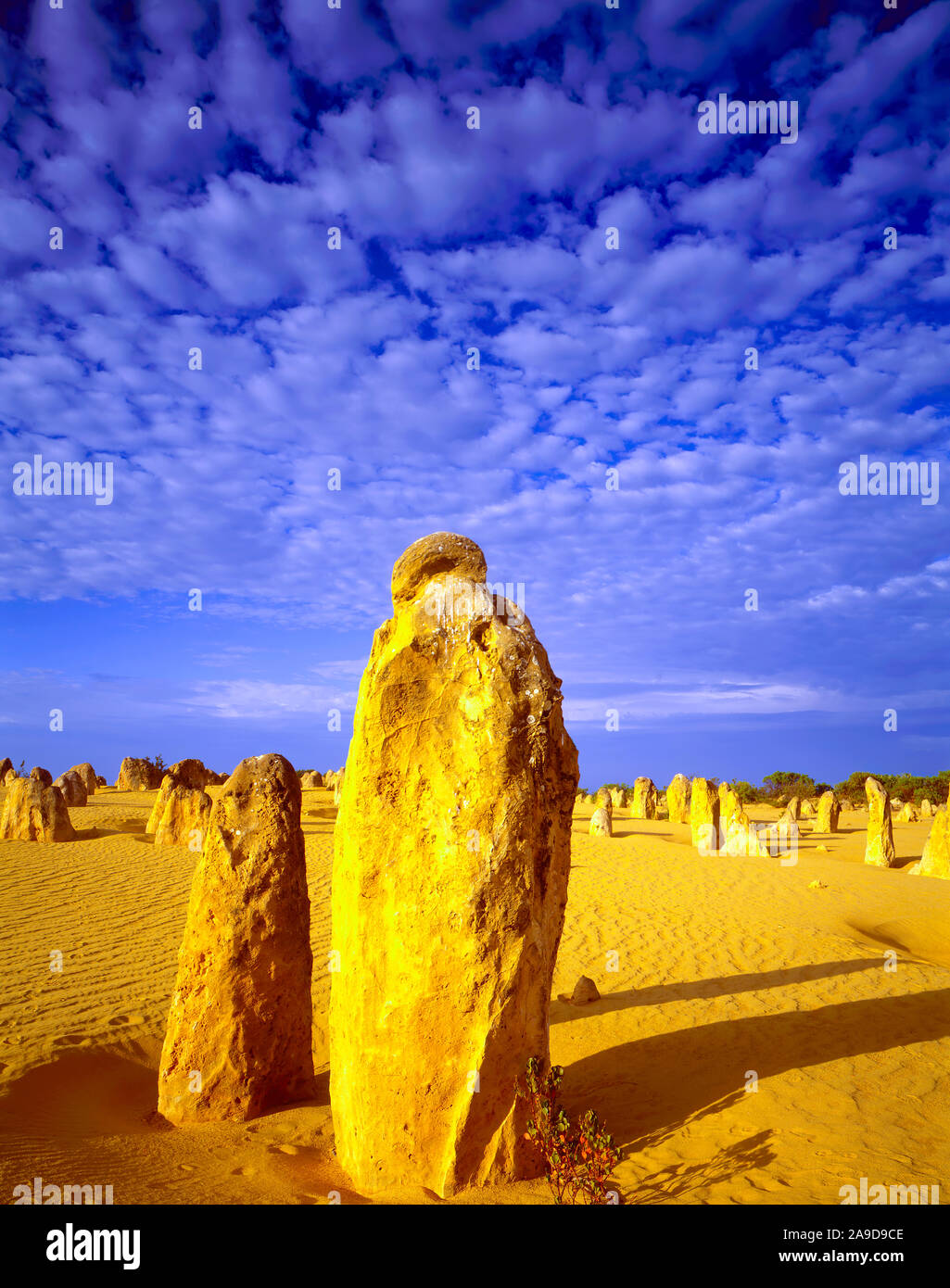 Monring Wolken in den PInnacles Wüste, Nambung Nationalpark, Western Australia, Kalkstein Säulen in der Nähe des Indischen Ozeans Stockfoto