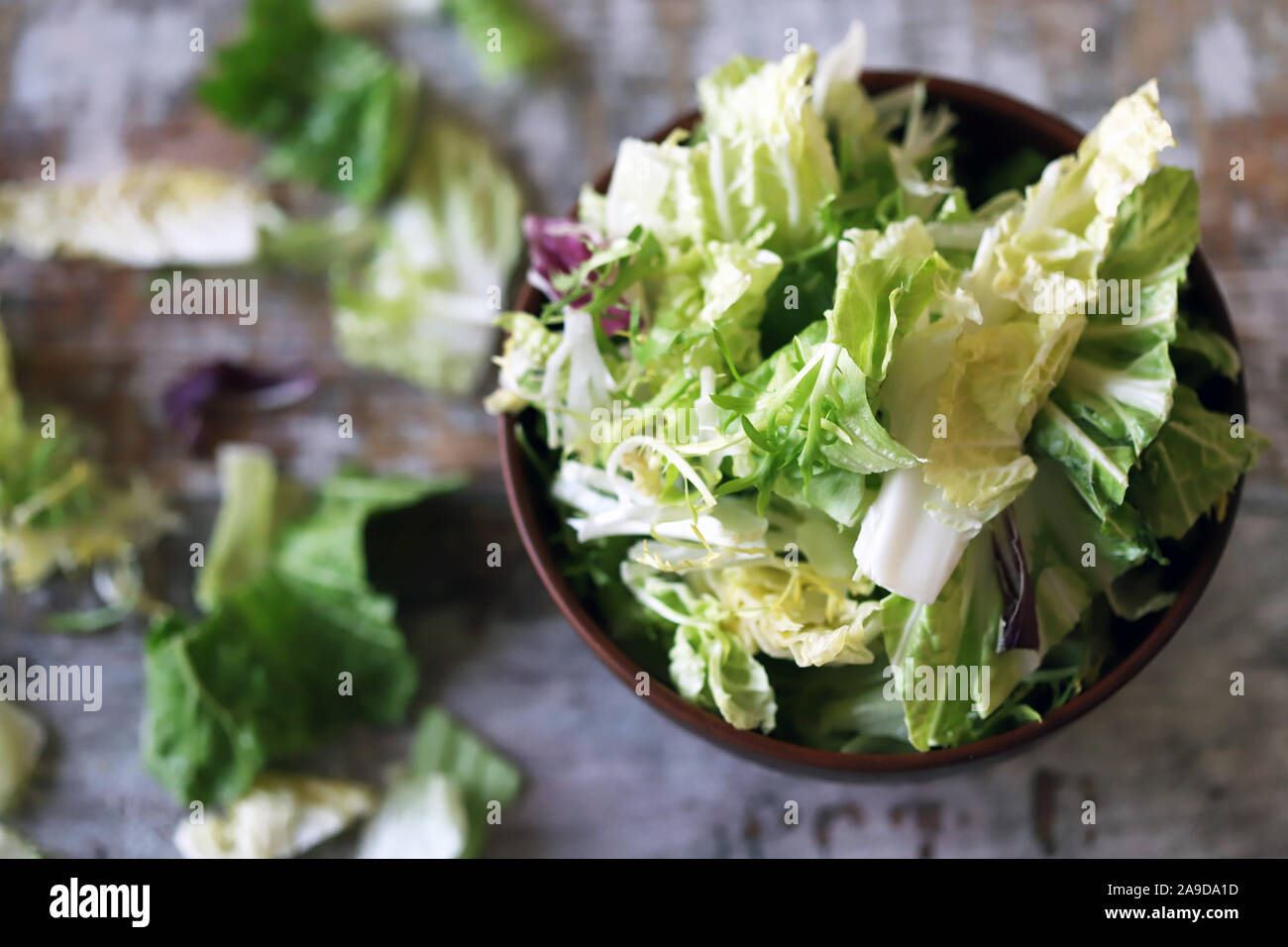 Mischung von Salaten in eine Schüssel geben. Grüne saftige Salatblätter. Das Konzept der gesunden Ernährung. Selektive konzentrieren. Makro. Stockfoto