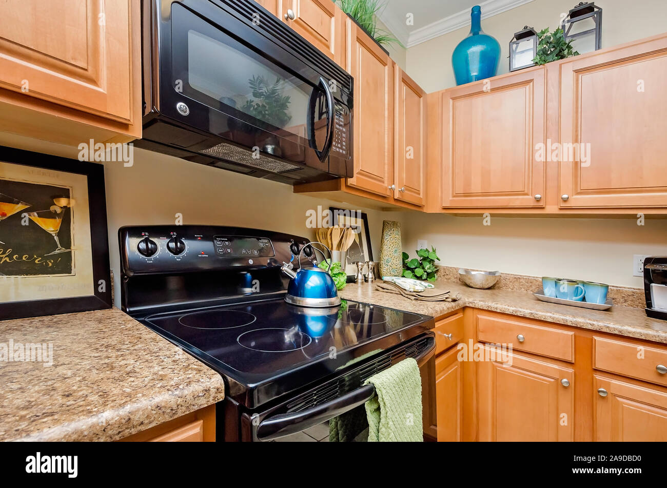 Eine Küche mit Arbeitsplatten aus Granit, Holz- schränke, ein Glas Kochfeld Herd und Mikrowelle im Cypress Cove Apartment Wohnungen in Mobile, Alabama. Stockfoto