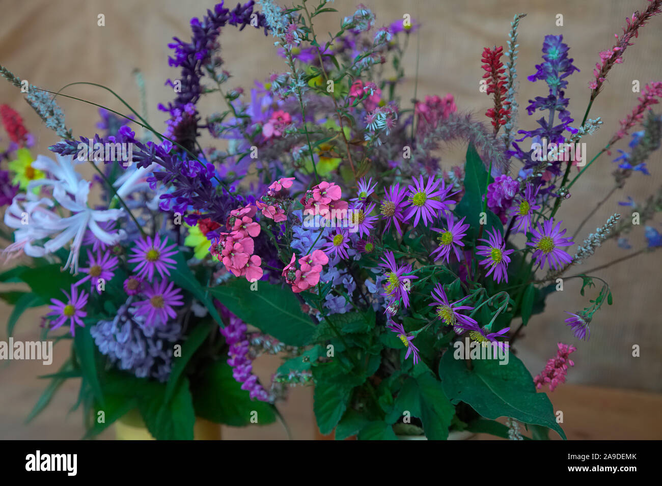 Eine Vase mit Ende Oktober Blumen aus dem Garten einschließlich Salvia leucantha 'Midnight', Plectranthus zuluensis, Salvia Indigo Turmspitzen, Persicaria amplexi Stockfoto