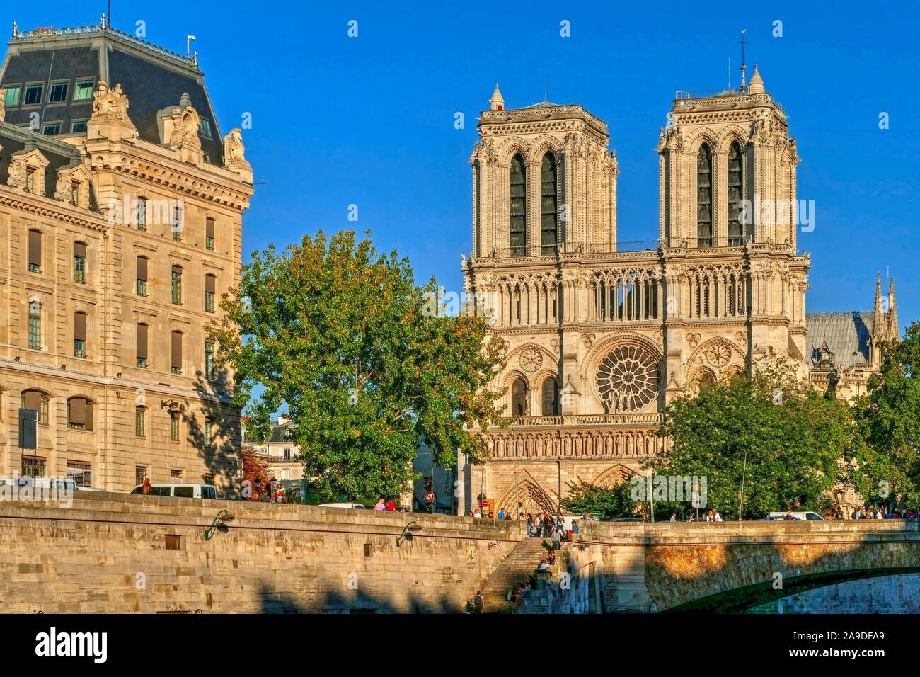 Blick über die Seine Kathedrale Notre-Dame in der Dämmerung, Paris, Ile de France, Frankreich Stockfoto