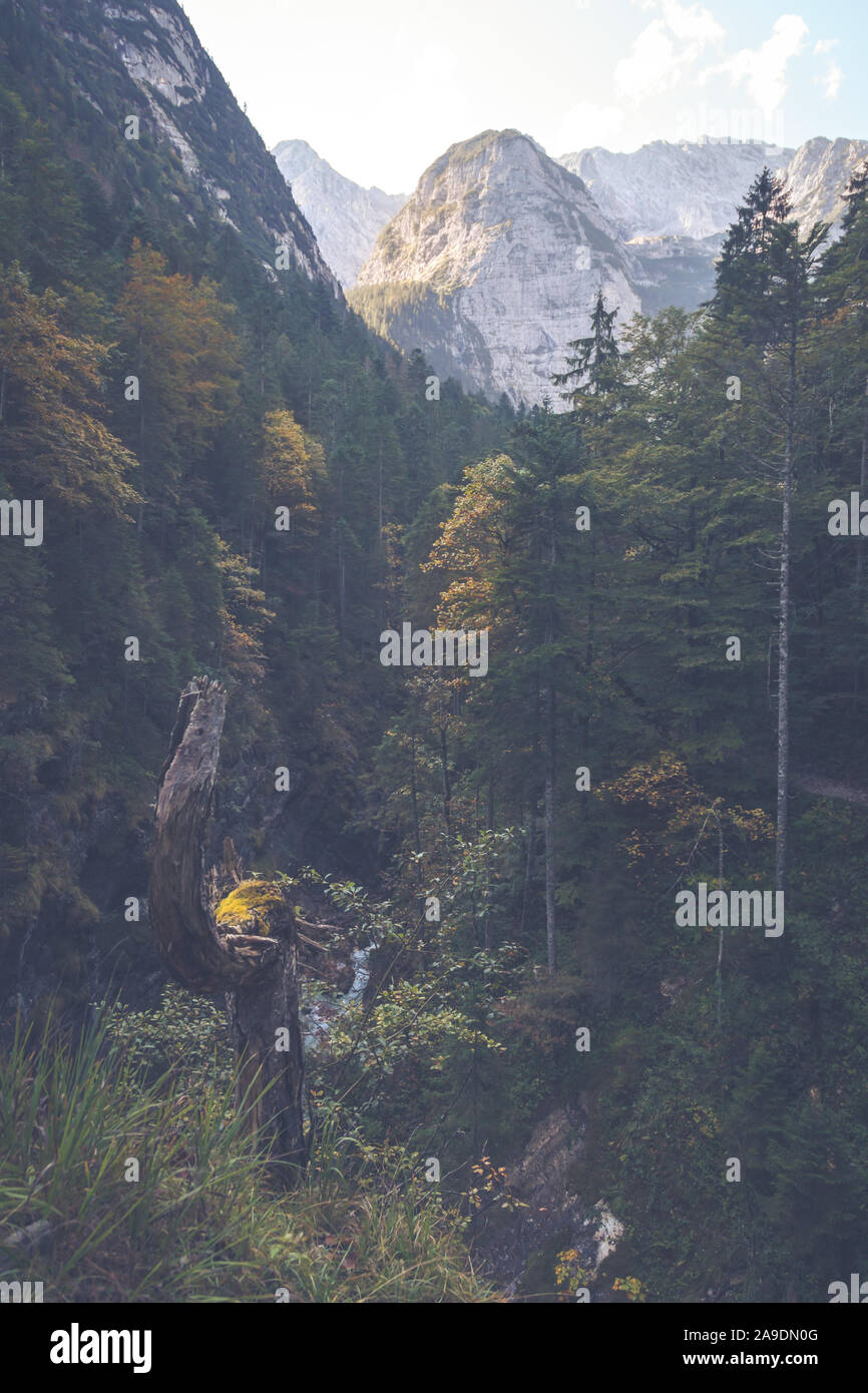 Die partnach - ein gebirgsbach fließt durch eine Schlucht in der Nähe von Garmisch-Partenkirchen. Stockfoto