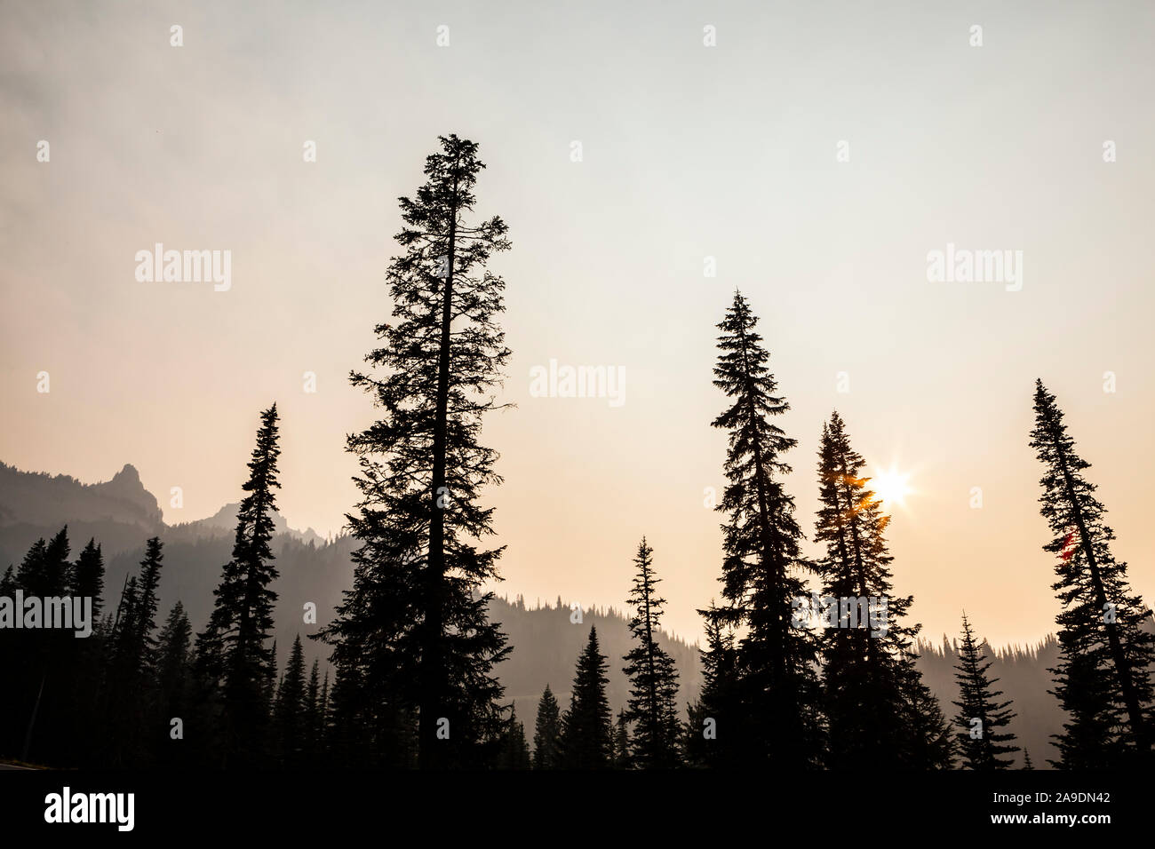 Rauch Luft rund um Mount Rainier National Park im August 2018, Washington, USA. Stockfoto
