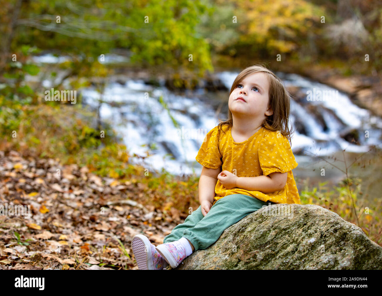 Junges Mädchen, das über die Bäume und den Himmel nachdenkt, während es auf einem Felsen bei einem Wasserfall sitzt Stockfoto