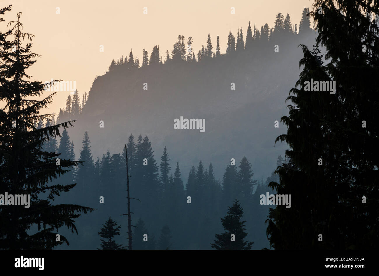 Rauch Luft rund um Mount Rainier National Park im August 2018, Washington, USA. Stockfoto