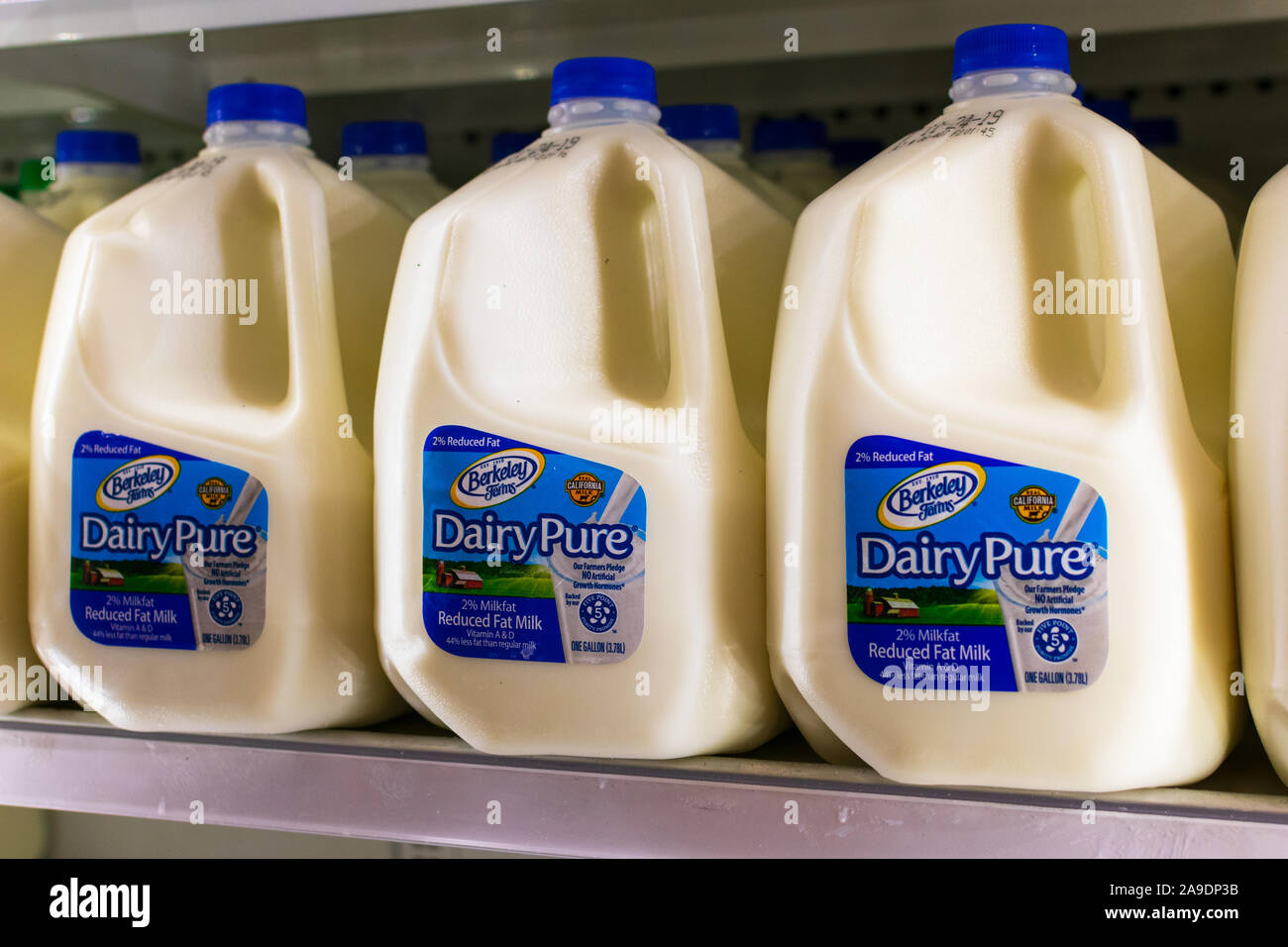 DairyPure Milch, ein Dean Foods Marke, im Lebensmittelgeschäft. Dean Foods, Amerikas größte Milchverarbeiter, Insolvenz angemeldet. Stockfoto