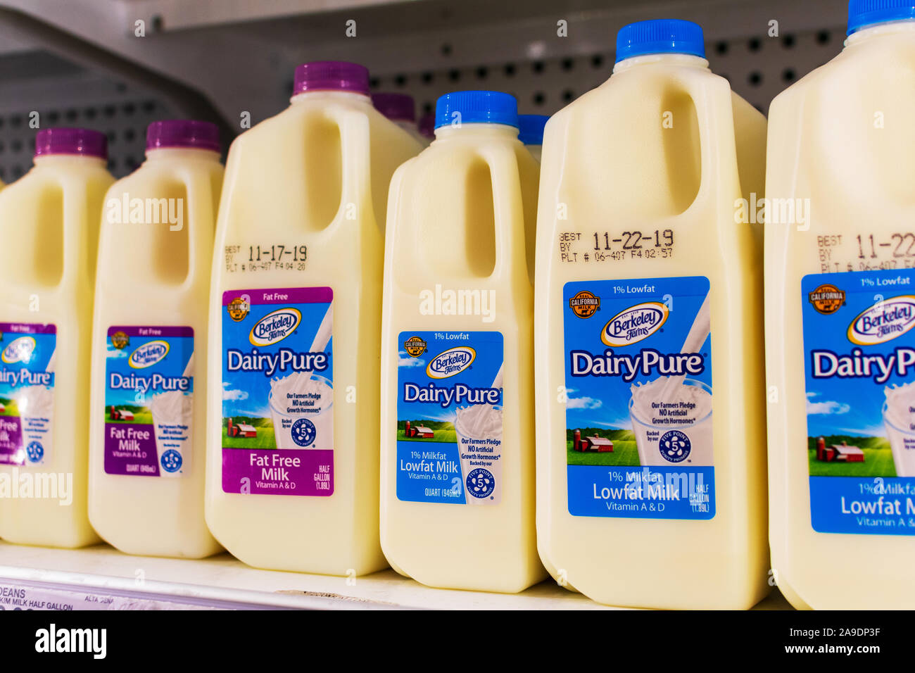 DairyPure Milch, ein Dean Foods Marke, im Lebensmittelgeschäft. Dean Foods, Amerikas größte Milchverarbeiter, Insolvenz angemeldet. Stockfoto