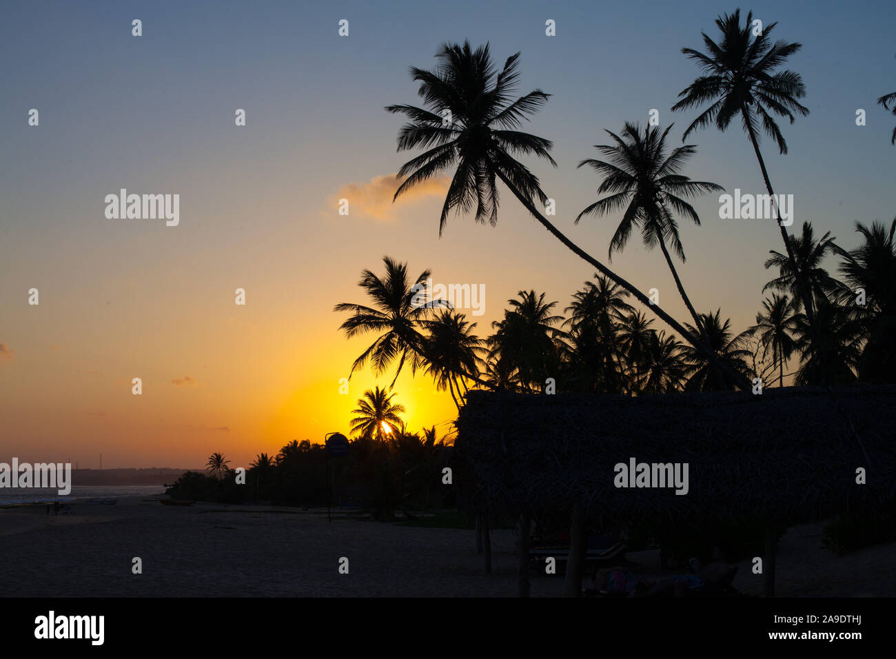 Beach Dream auf Sri Lanka in Tangalle Stockfoto